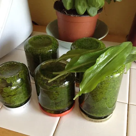 Maison d'hôtes La Beuratte